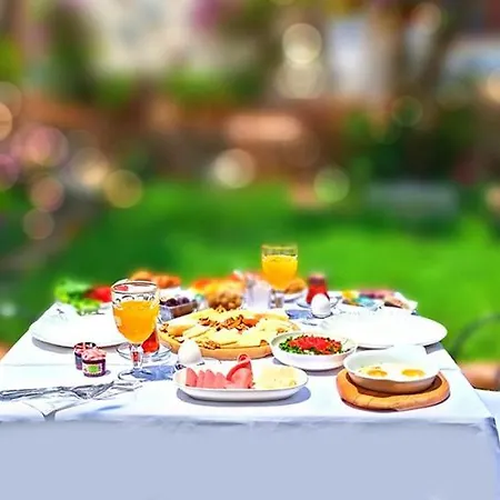 No 10 セルチュク